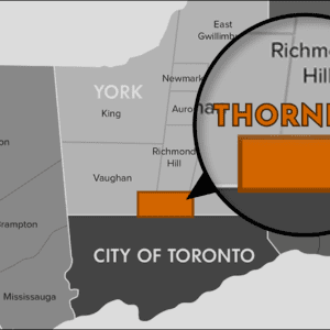 Thornhill Pointed at a Map in Grey and White