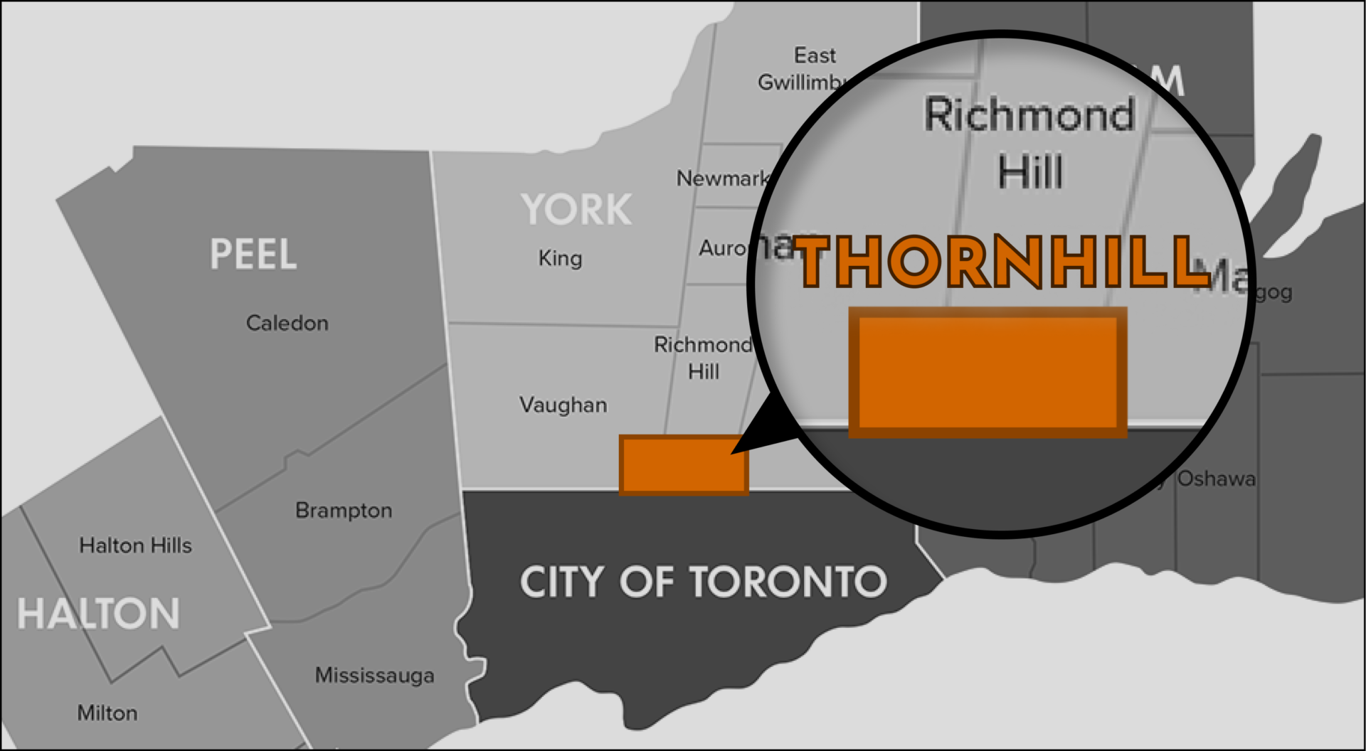 Thornhill Pointed at a Map in Grey and White